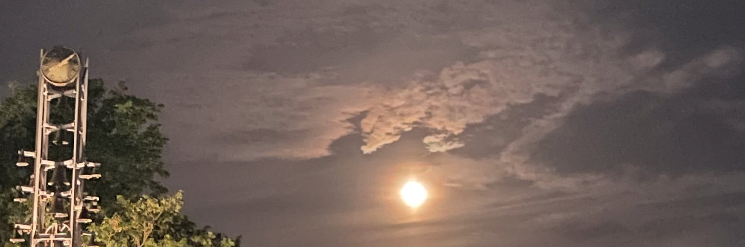 royginamazing's profile banner image