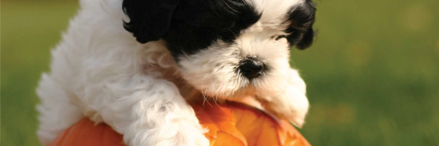 Stouffville Library banner