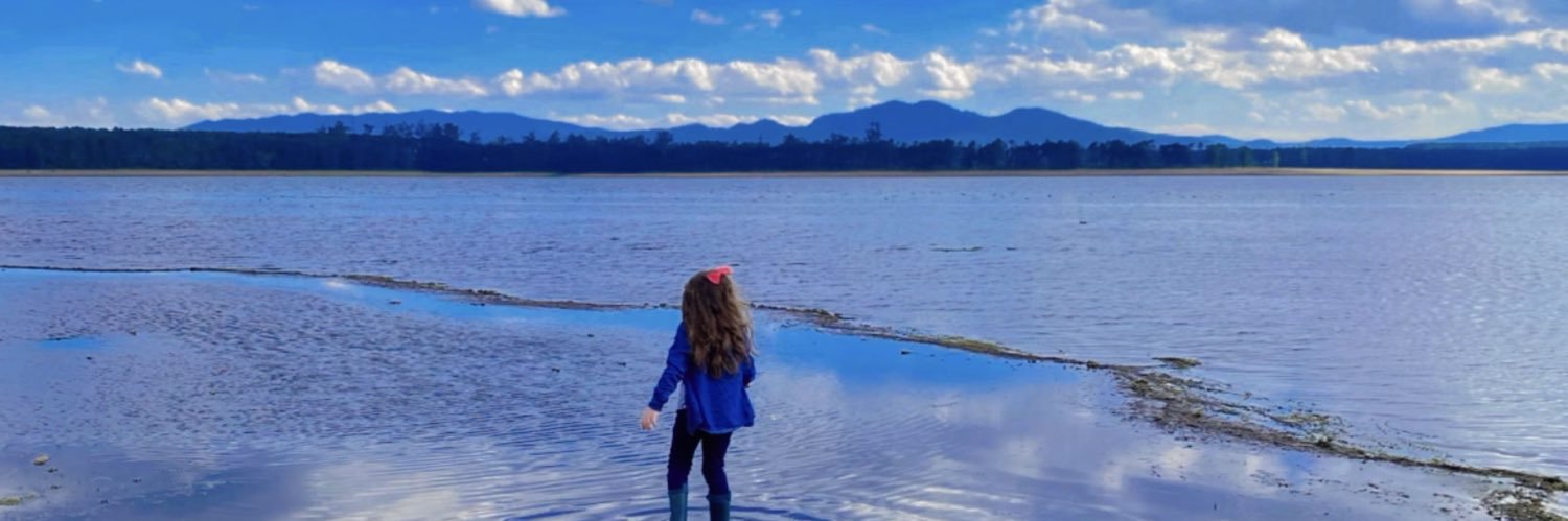 Kiks 🪼🌈🪐🪩🪻🫧 banner