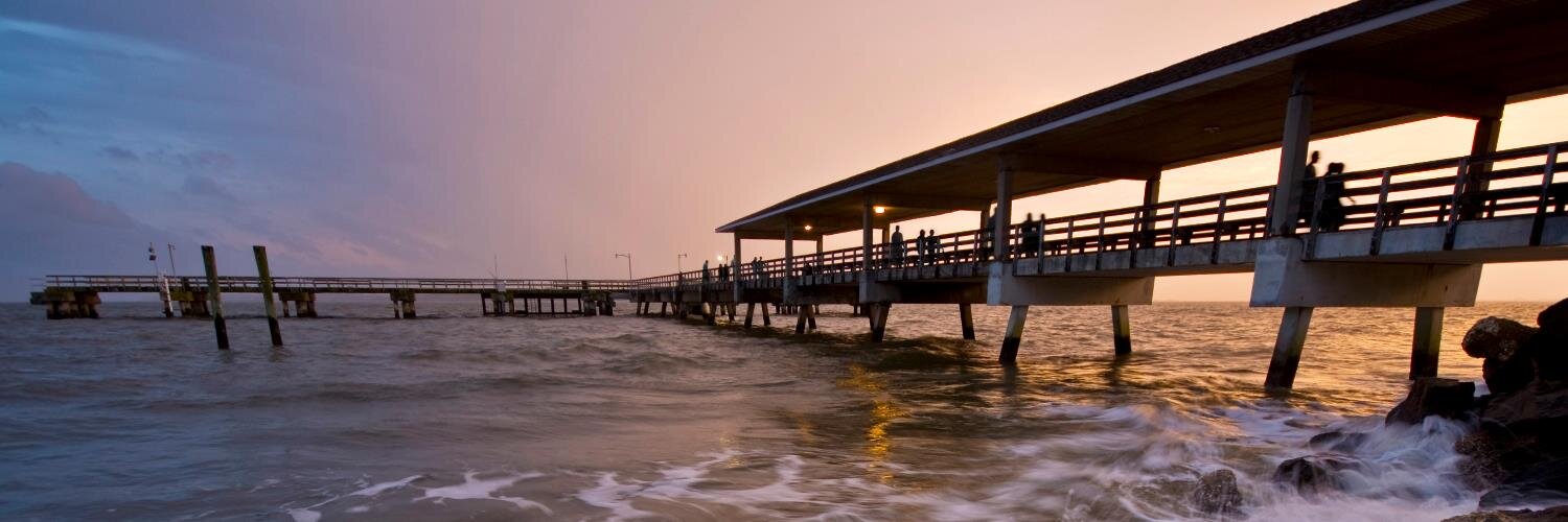 Glynn County Gvt banner