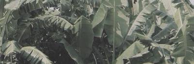 camzmaniftx's profile banner image