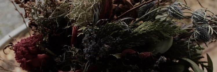 2slv_rs's profile banner image