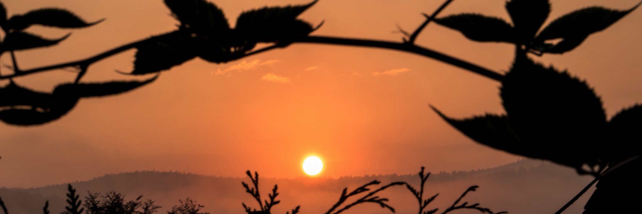 stffnk's profile banner image