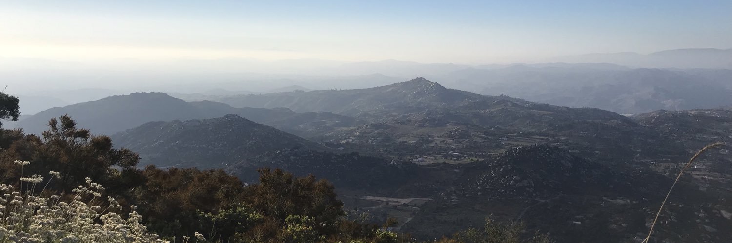 Natalie M. Yarish, PhD banner