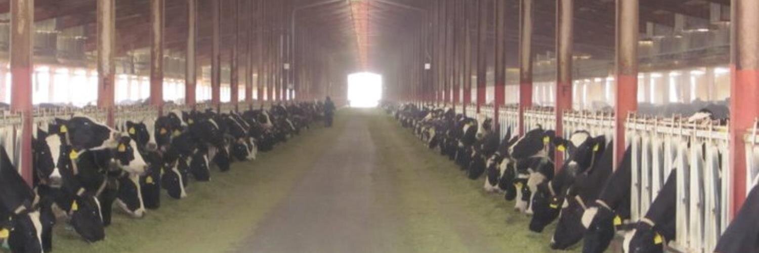 DevelopingDairy's profile banner image