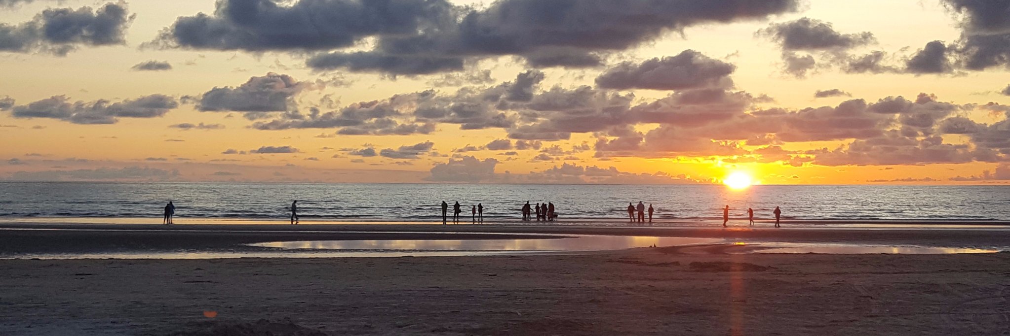 Maximilian Halstrup banner