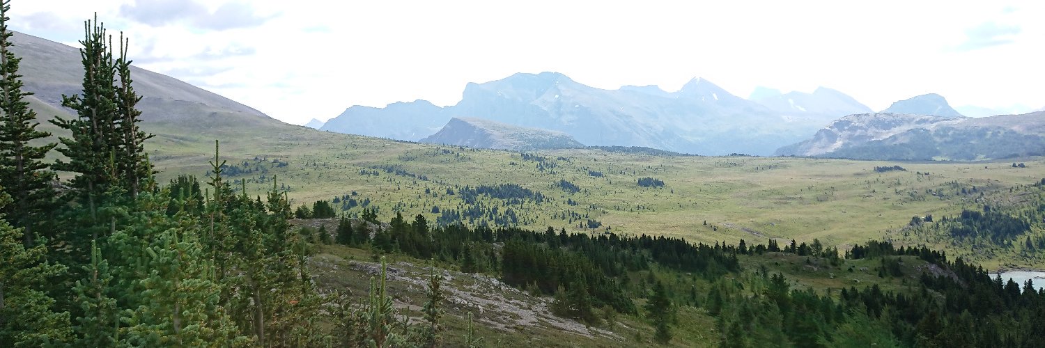 katalin4's profile banner image