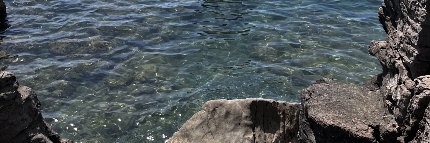 Simone Coppola 🇮🇹 banner