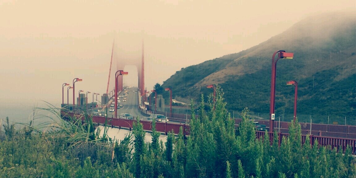 Danielle McCoy banner