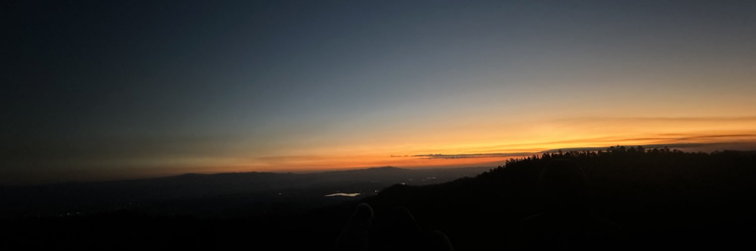 fernandalefort's profile banner image