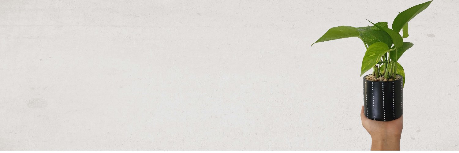 Sawsan_Basher's profile banner image