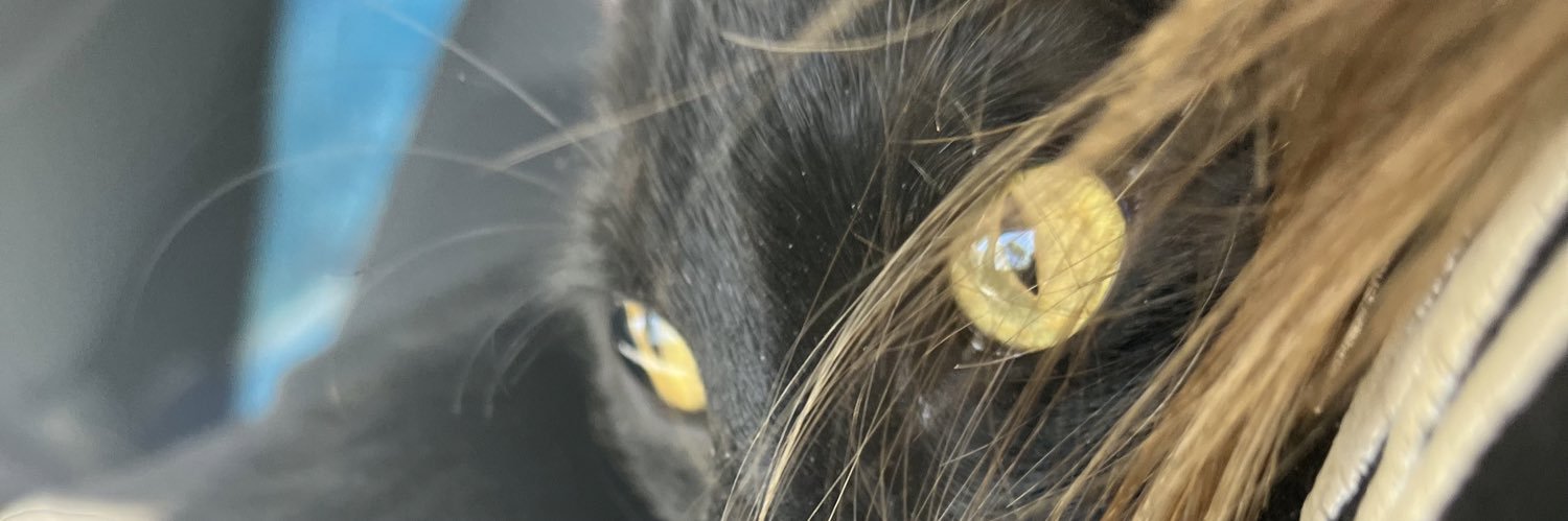 kidpiee's profile banner image