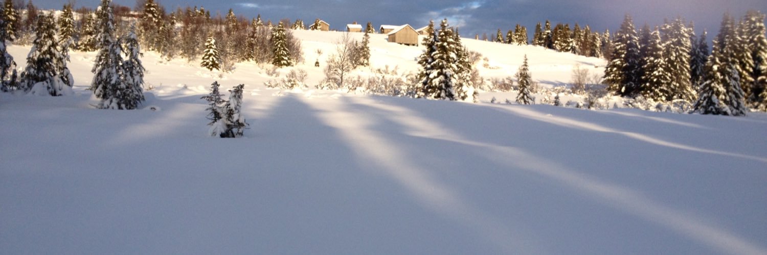 annebje's profile banner image