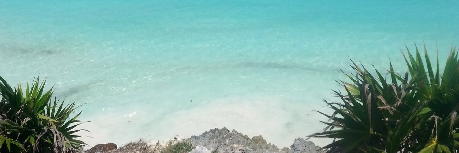 Ribich_19's profile banner image
