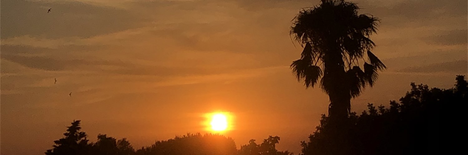 Ⲙⲁⲥⲁ ✵ banner