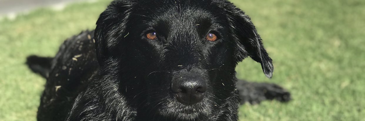 claurubens_'s profile banner image
