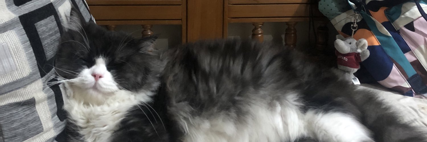 sydlrst's profile banner image