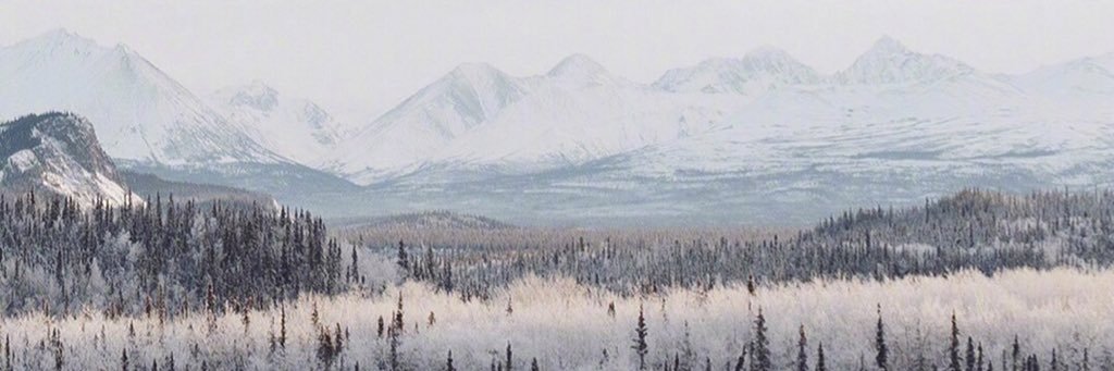 dri22l3's profile banner image