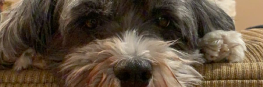 Bseidss's profile banner image