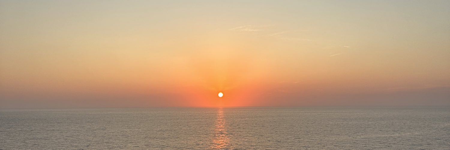 halliewolfe_'s profile banner image