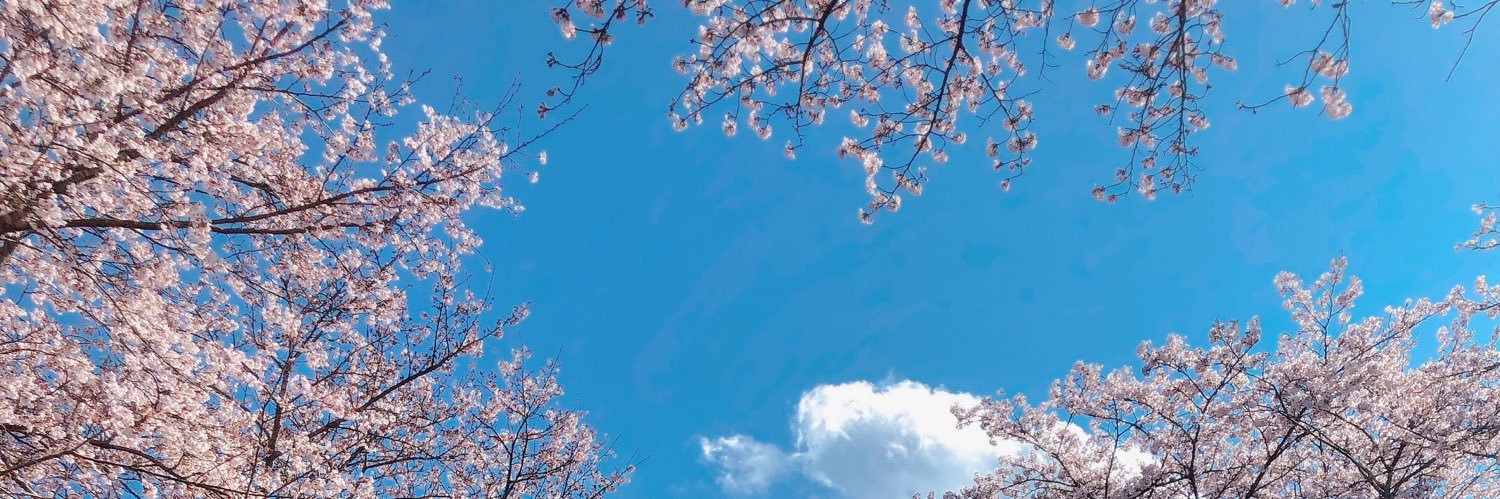 ppololo_'s profile banner image