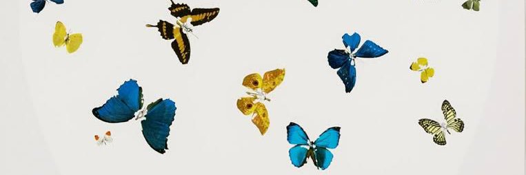 Mariana_Lec's profile banner image
