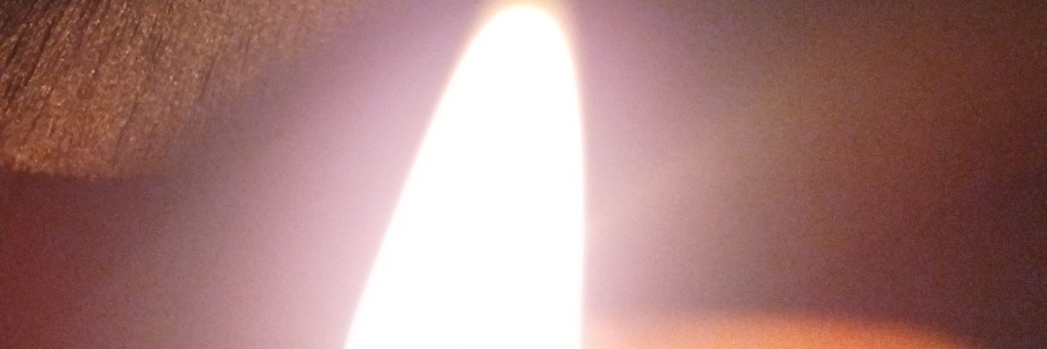 metsiss's profile banner image