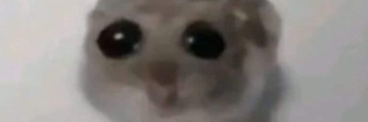 swagopouf's profile banner image