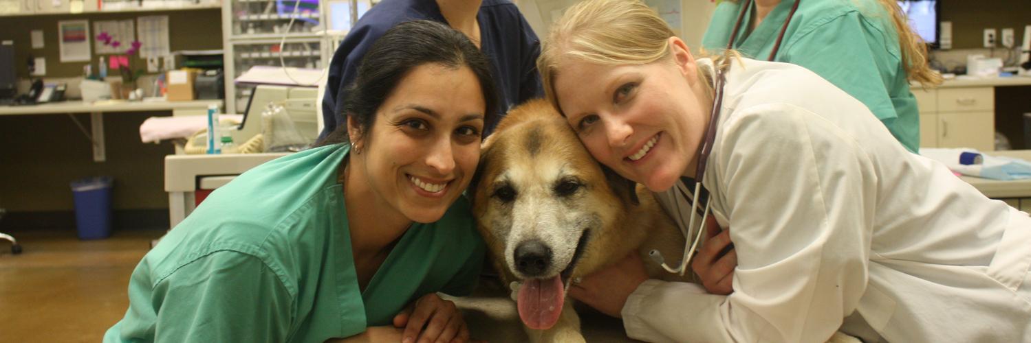 VetTechPrep's profile banner image