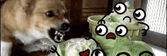 Oakopoko's profile banner image