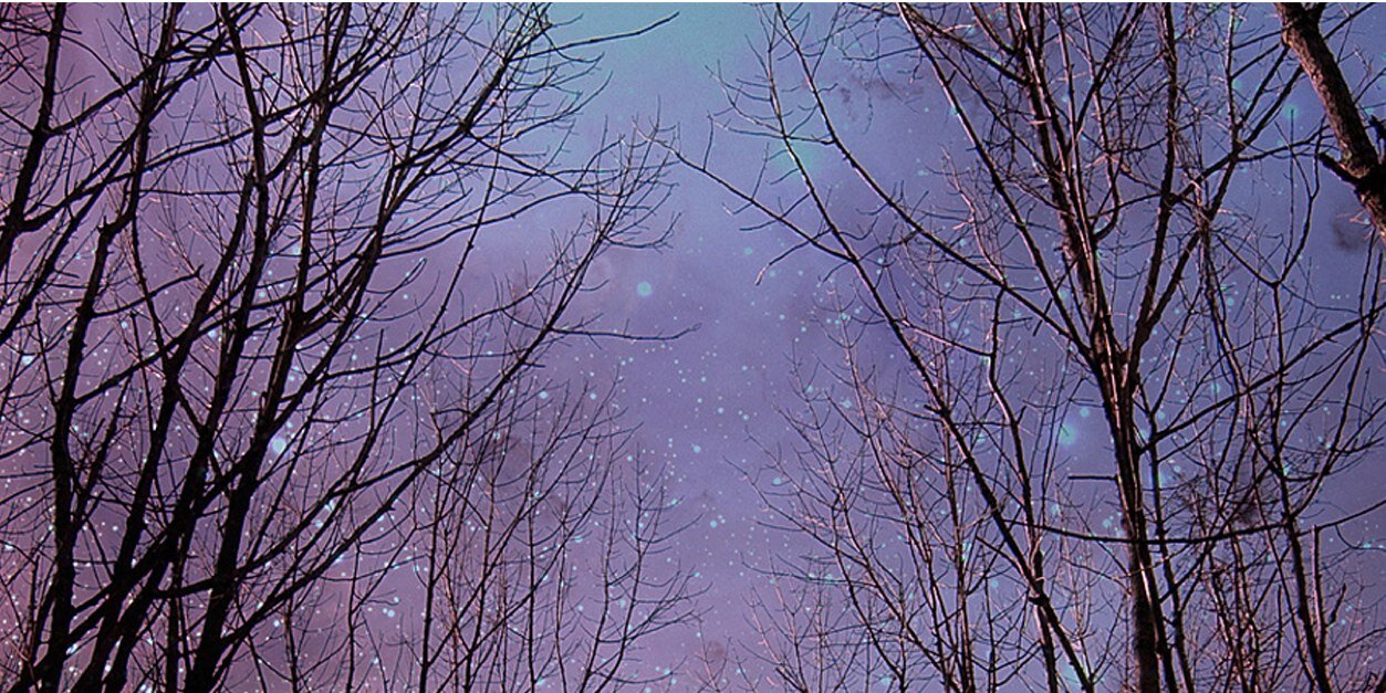 xthefirststepx's profile banner image