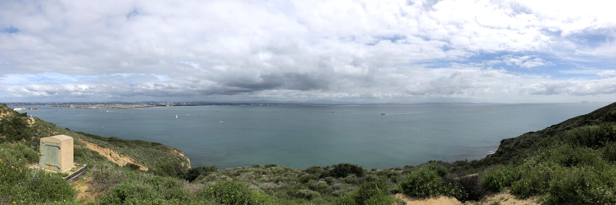 Damien Perriman banner