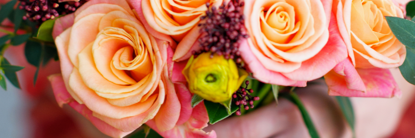 weddzilla's profile banner image