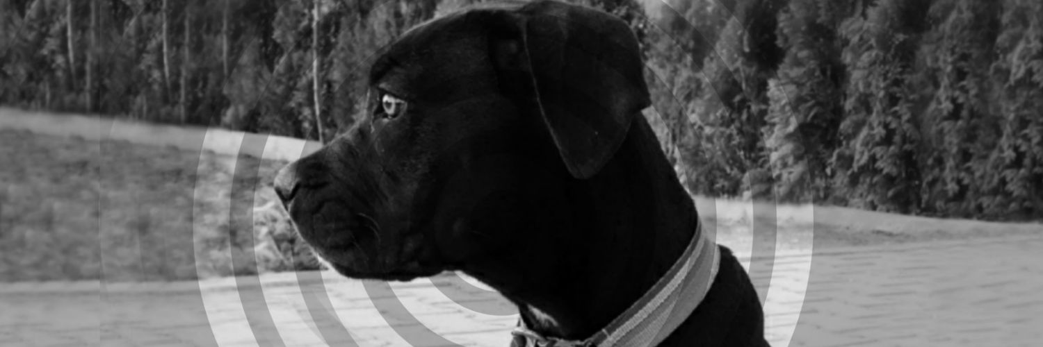 SamiBeycim's profile banner image