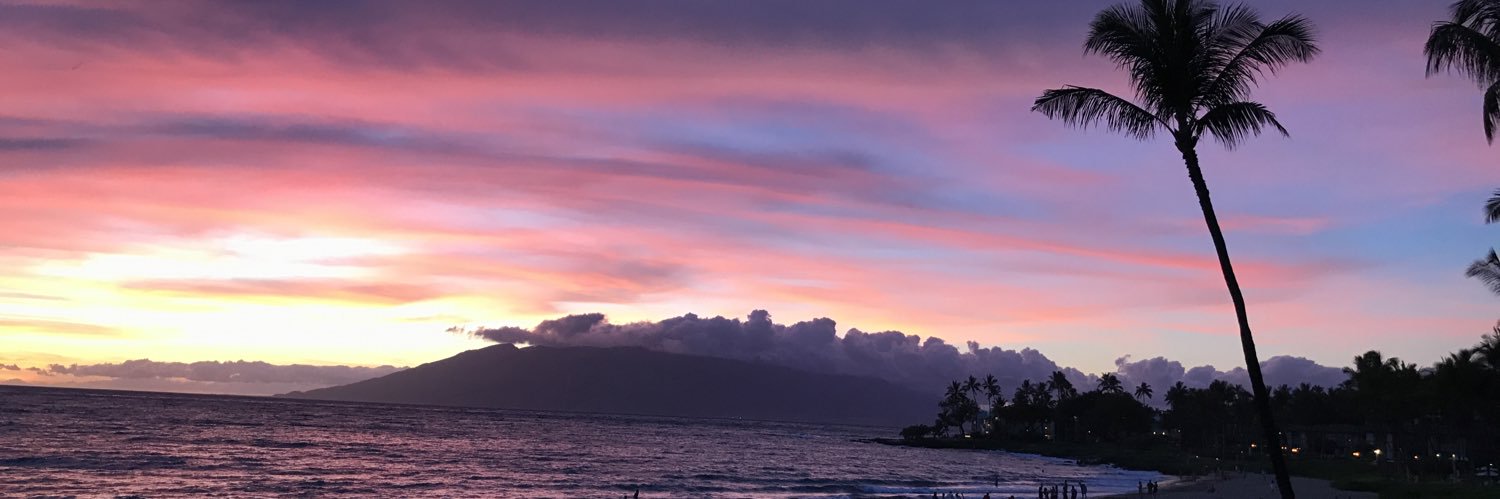 Derek Idemoto banner