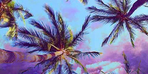 Start_Sweet's profile banner image