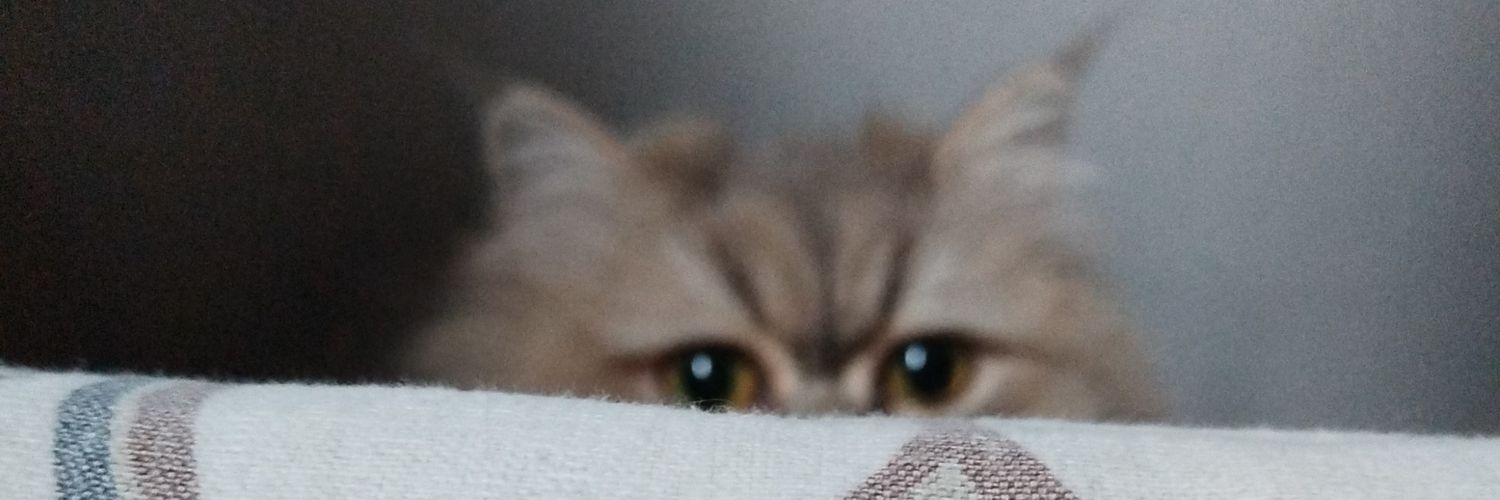 morhuni's profile banner image
