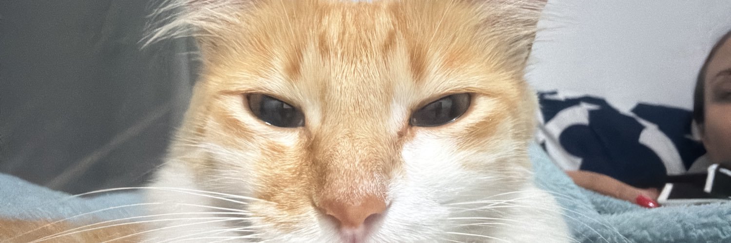 thayborgesi's profile banner image