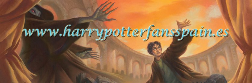 Harry Potter fans Sp banner