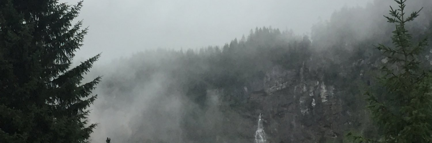 ChelseaW__'s profile banner image