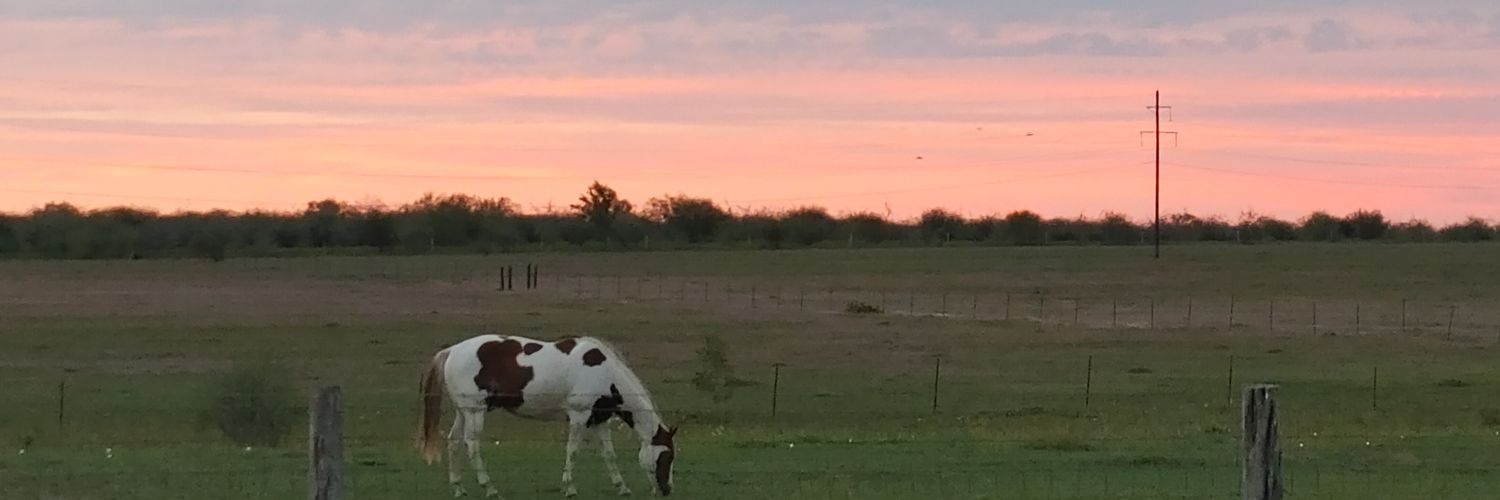 STX Patriot 🎇🩴🏈🎰🎸🎶🧱🏹♐🌎🏜️🏞️🧭 banner