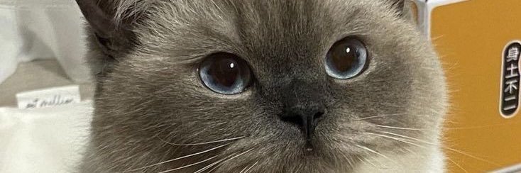miramiko92's profile banner image