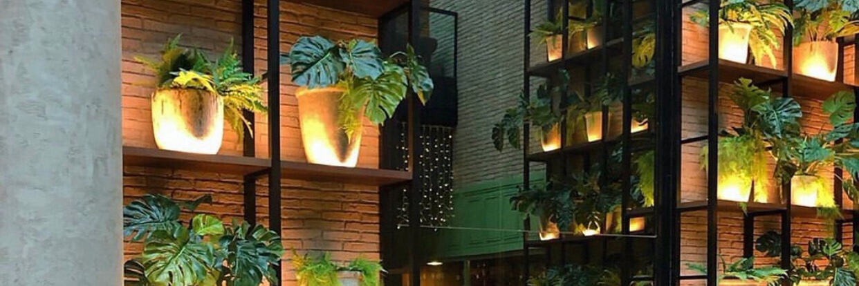 sanaseshh's profile banner image