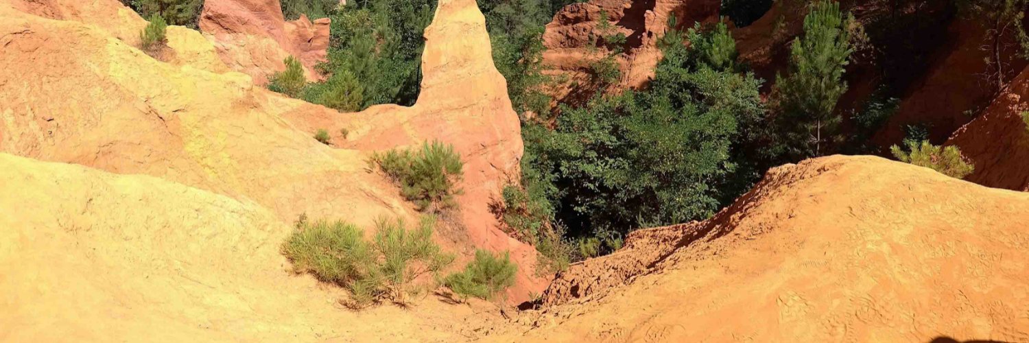 delfí sabartés banner