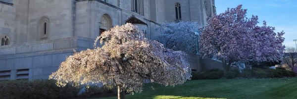 S0niaBansal Profile Banner