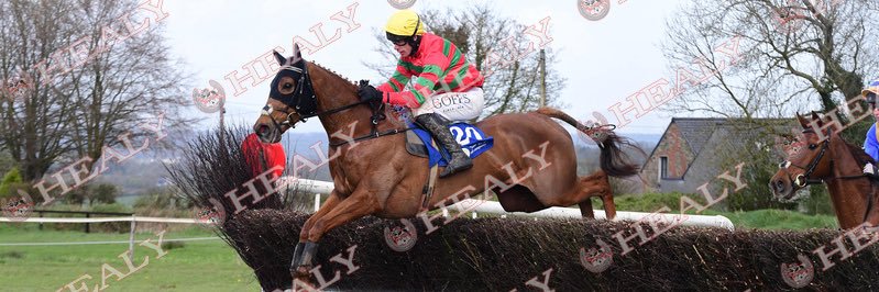 Cormac Kiely banner