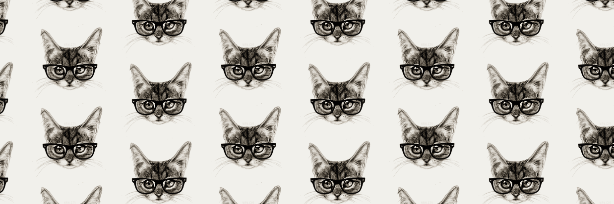 erianjasmin's profile banner image