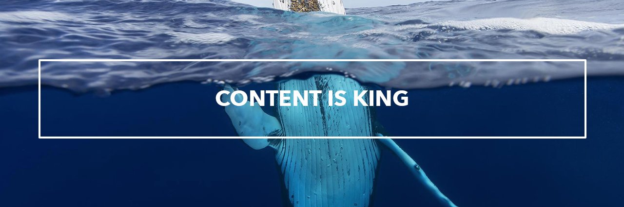 RSP_Consulting's profile banner image