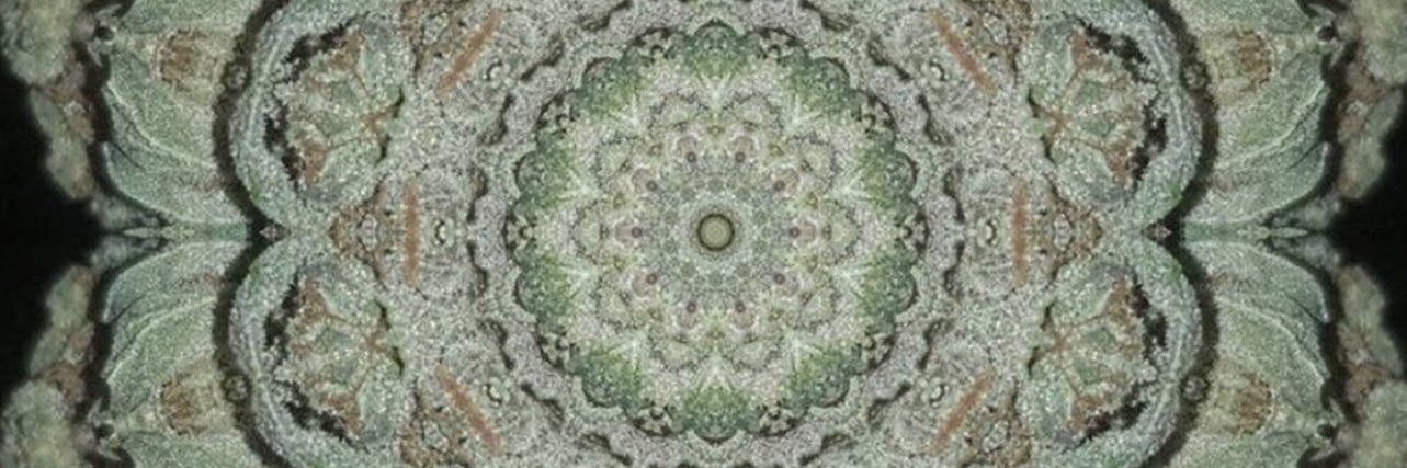 Ms_s_slezzy's profile banner image