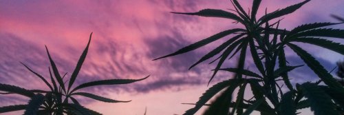 MateusCastroPRO's profile banner image